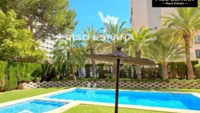Pis – Alicante - Alacant - Vista 3