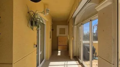 Pis – Torrevieja - Vista 2