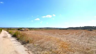 Rustic property in Muro photo 21
