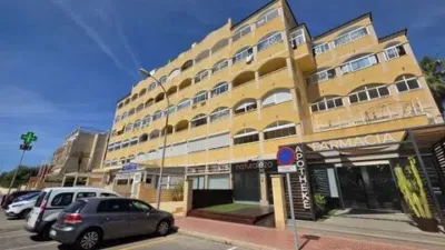 Pis – Torrevieja - Més
