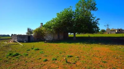 Rustic house in Muro photo 4