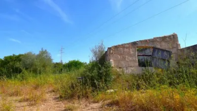 Rustic house in Muro photo 22