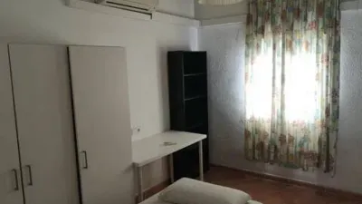 Apartment in La Palmera-Reina Mercedes photo 9