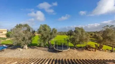 Rustic house in Santa Margalida photo 35