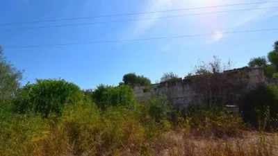 Rustic house in Muro photo 18