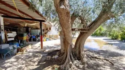 Rustic house on Calle Paraje Cenete, 16 photo 34