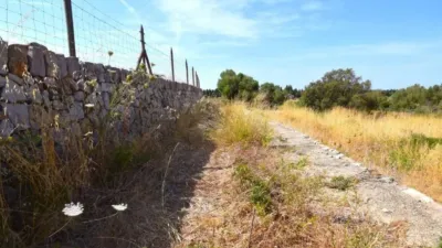 Rustic house in Muro photo 24