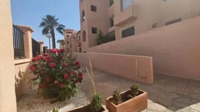 Apartment in Los Alcázares photo 46