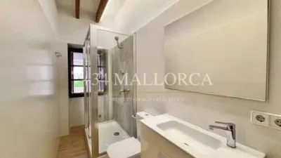 Flat in Santa Eugènia photo 62