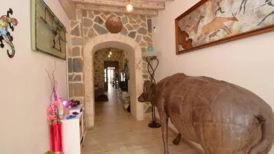 Chalet in Muro photo 2