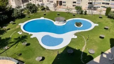 Apartment in Platja Muchavista photo 46