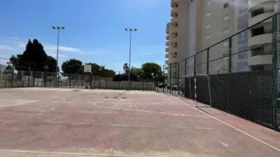 Apartment in Platja Muchavista photo 63