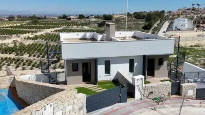 Chalet in Algorfa photo 39