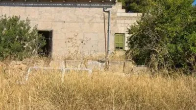Rustic house in Muro photo 8