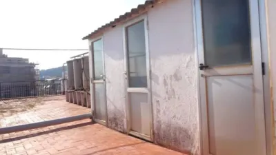Apartment in Calella photo 28