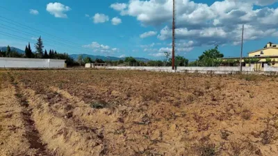 Rustic house in Son Sardina photo 37