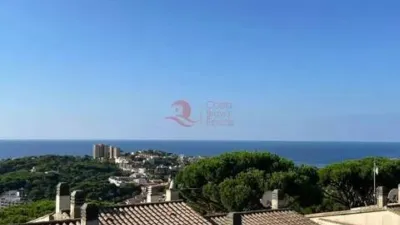 Apartment on Carrer del Grumet photo 4