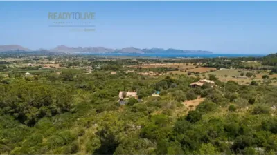 Chalet in Marina Manresa-Mal Pas-Bonaire photo 69