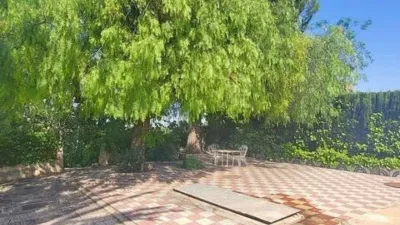 Casa – Novelda, La Cruz - Vista 5