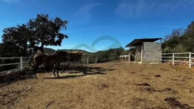 Rustic property in Almogía photo 35