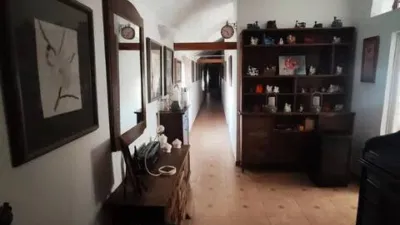 Casa rústica en Huévar del Aljarafe photo 13