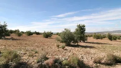 Terreno en venta en Biar - Vista 3