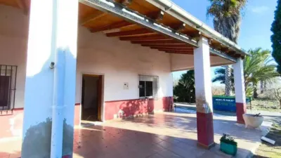 Chalet in Elx - Elche photo 2