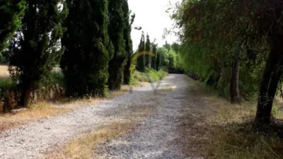 Casa – Monforte del Cid - Vista 5