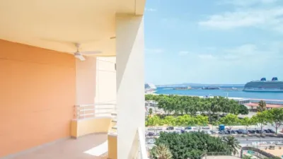 Apartment in Palma de Mallorca photo 3