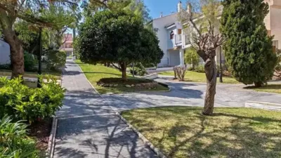 Chalet in Elx - Elche photo 26