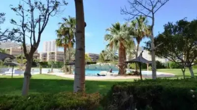 Apartment in Carrer Hisenda de l'Administrador photo 36
