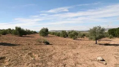 Terreno en venta en Biar - Més