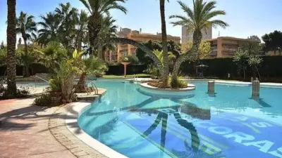 Apartment in Carrer Hisenda de l'Administrador photo 38