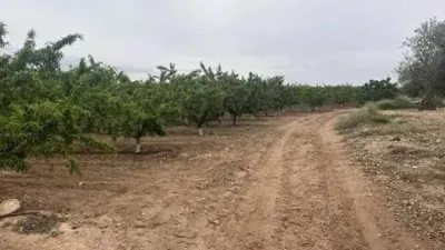 Terreno en venta en Calle Ontur, 1 - Vista 3