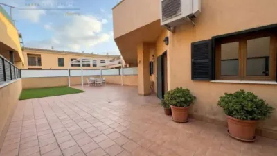 Apartment in Alcúdia photo 12