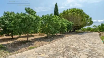 Chalet in Santa Margalida photo 10