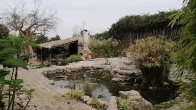Chalet en Murcia Capital photo 7