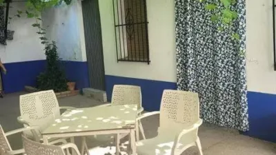 Miniatura 12