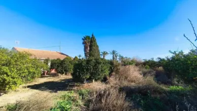 Chalet in Elx - Elche photo 36