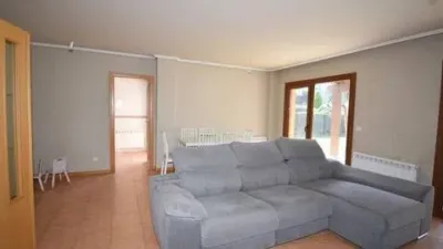 House in Miño photo 45