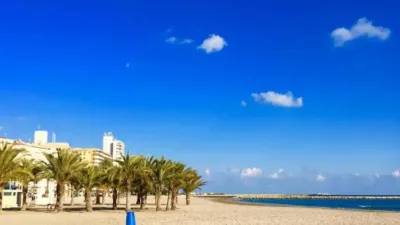 Apartment in Centre-Port-Platja Llevant photo 8