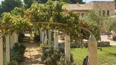 Chalet in Mutxamel photo 3