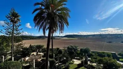 Casa rústica en Montuïri photo 25