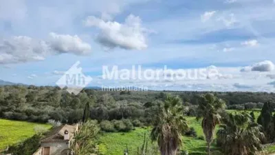 Rustic property in Santa Margalida photo 13