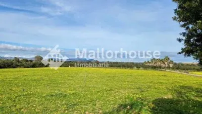 Rustic property in Santa Margalida photo 15