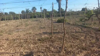 Casa – Elx - Elche - Vista 2