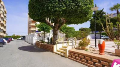 Apartment in Centre-Port-Platja Llevant photo 26