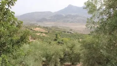 Chalet in Zahara de la Sierra photo 29