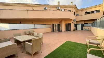 Apartment in Alcúdia photo 13