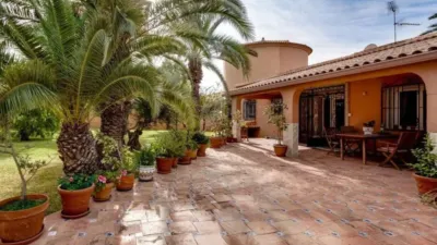 Casa – Torrevieja - Vista 5